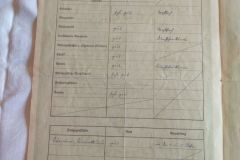 IMG_20211006_130919