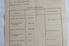 IMG_20211006_131108
